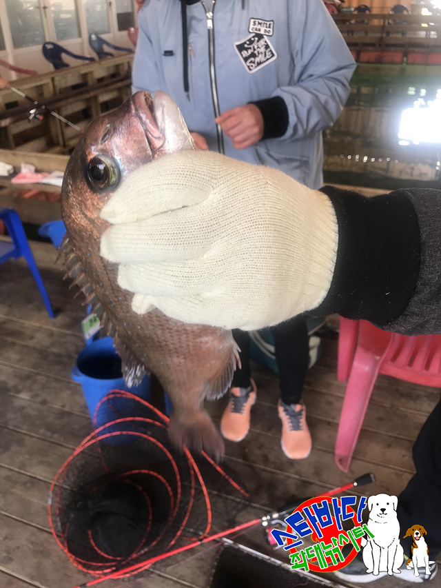 KakaoTalk_20190514_223921050_19.jpg