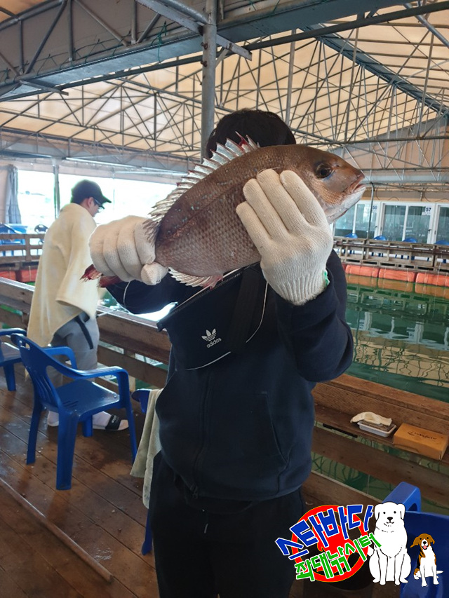 KakaoTalk_20190515_065901194_03.jpg