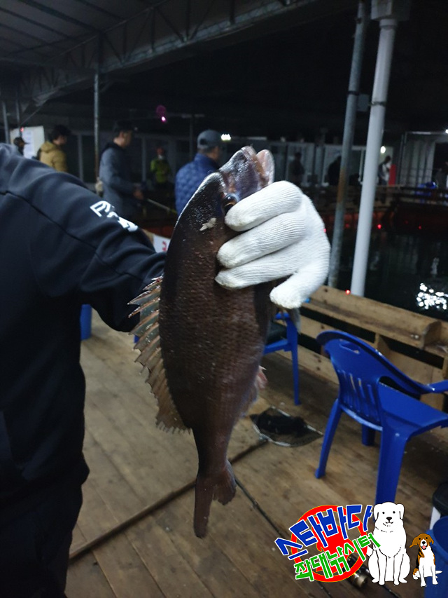 KakaoTalk_20190515_065901194_05.jpg