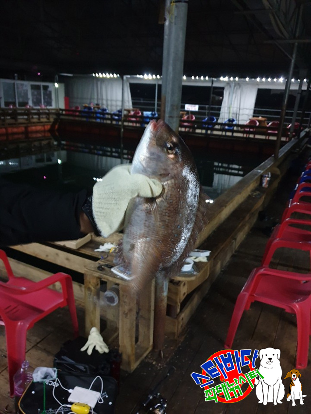 KakaoTalk_20190515_065901194_06.jpg