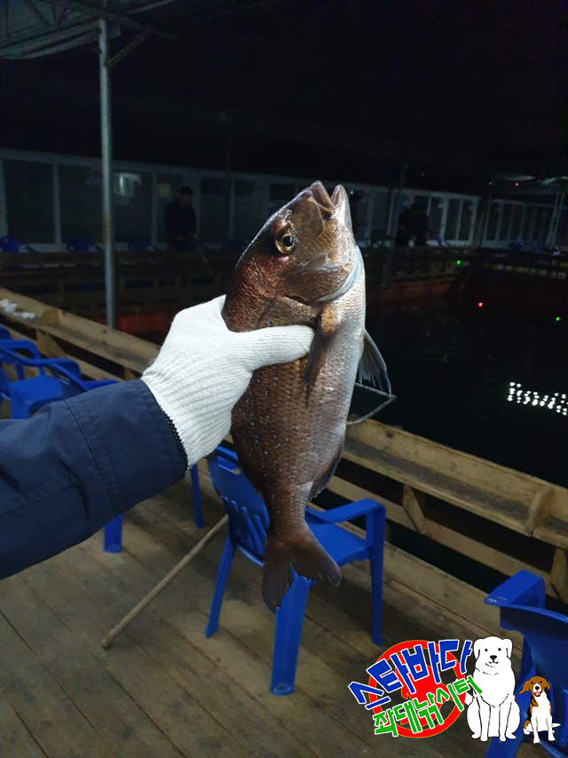 KakaoTalk_20190515_065901194_11.jpg