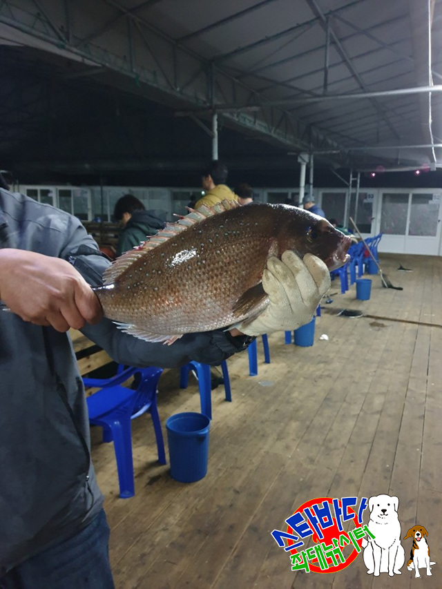 KakaoTalk_20190515_065901194_09.jpg