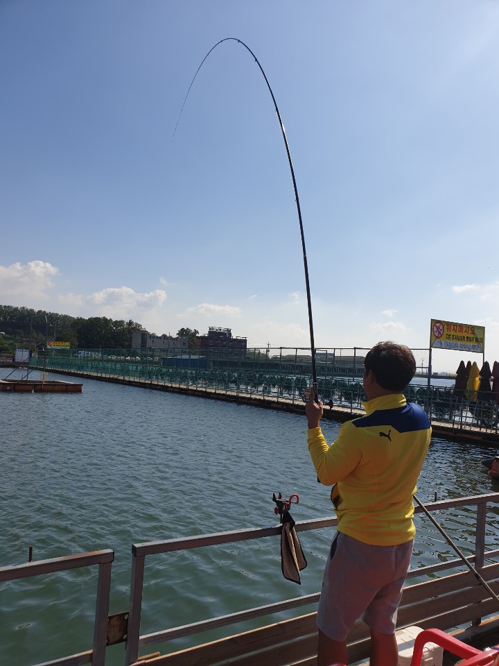 1570546284193-21.jpg