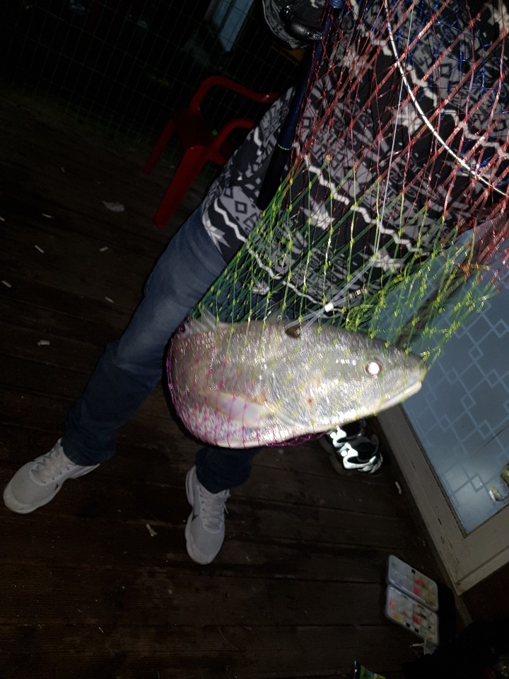 1570572476300-12.jpg