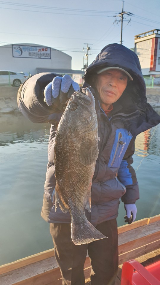 황산초지 바다낚시터 바다낚시조황 > [황산 초지 바다낚시터] 11월29일 조황정보 : 낚시사랑