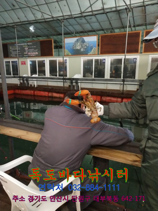 19.jpg