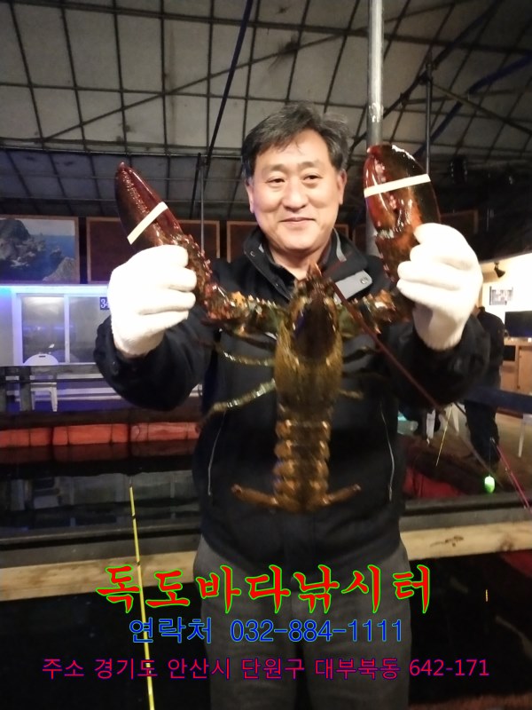 9.jpg