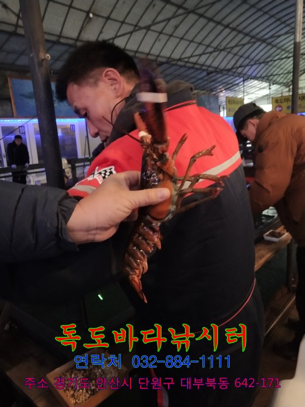 27.jpg