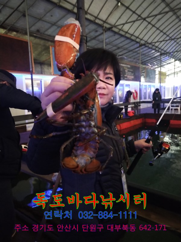 28.jpg