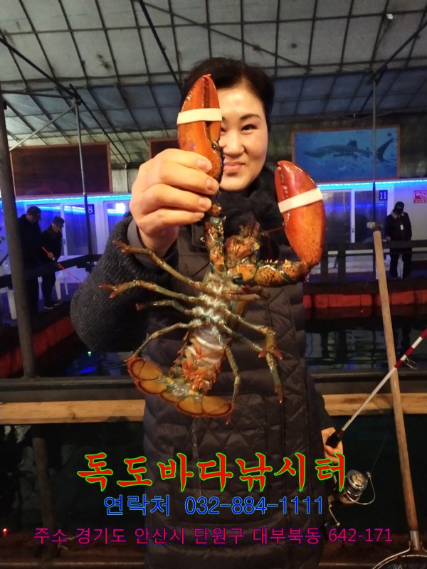 32.jpg