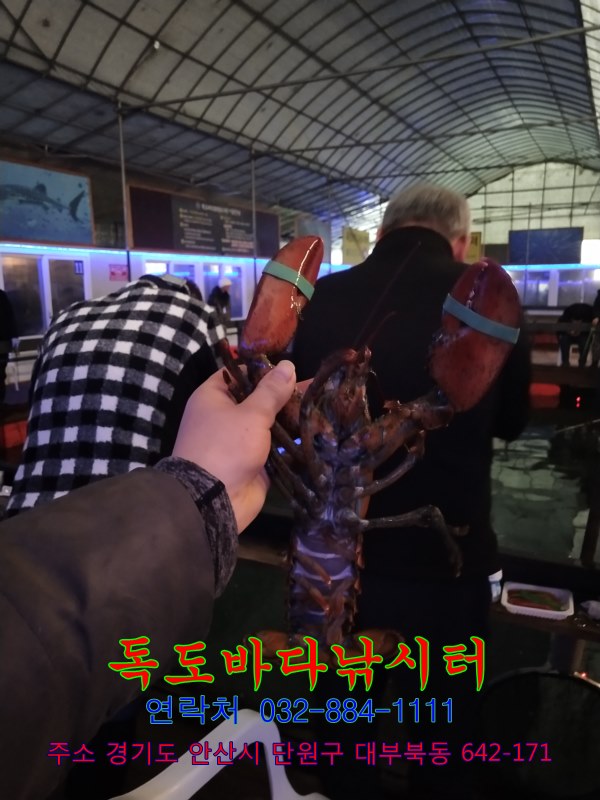 33.jpg