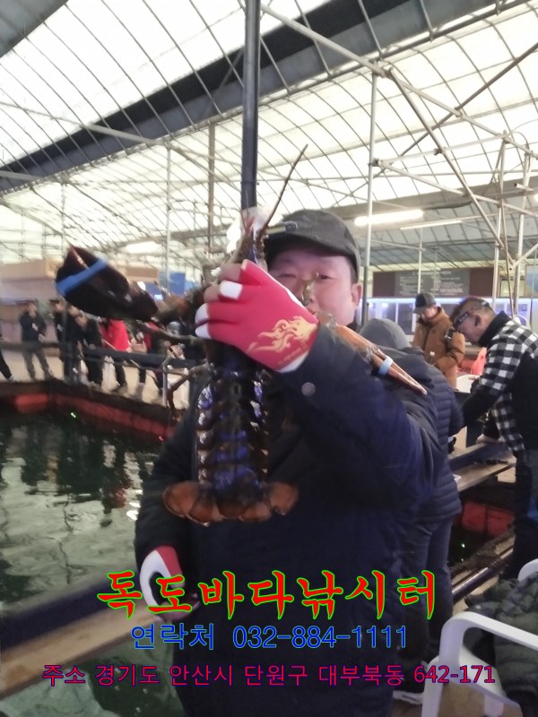 56.jpg