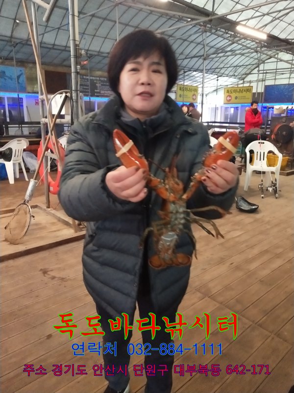 61.jpg