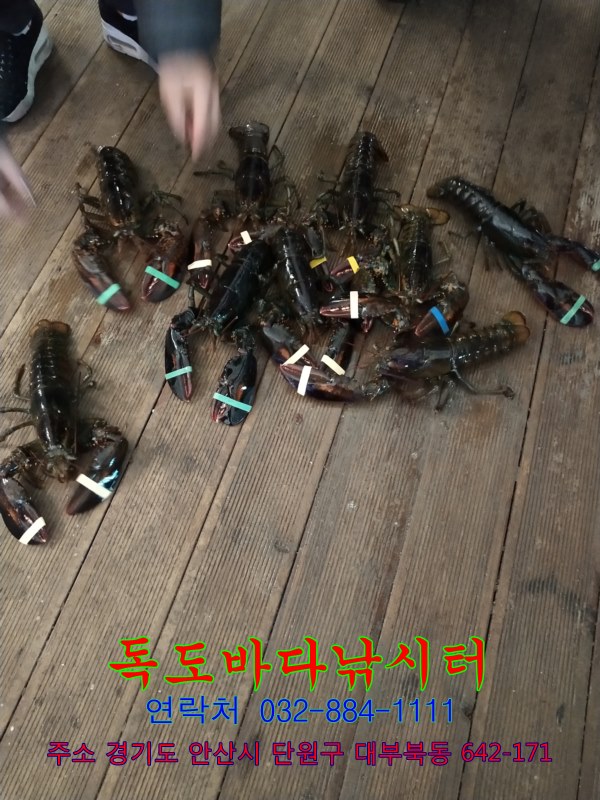 63.jpg