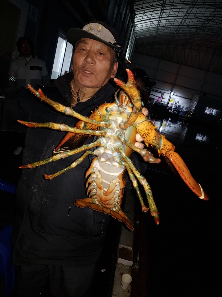 1578864727355-17.jpg
