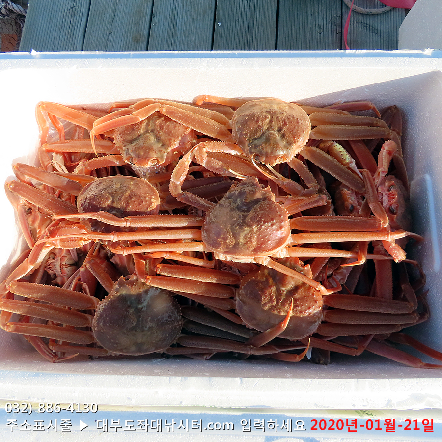 IMG_4126.jpg