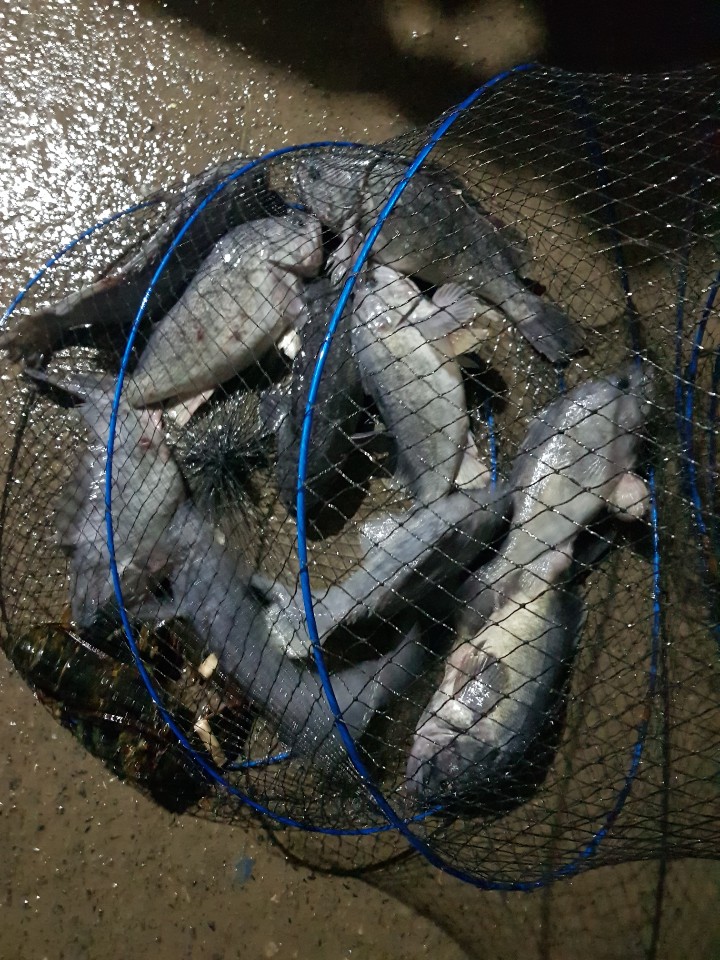 KakaoTalk_20200213_181137885.jpg