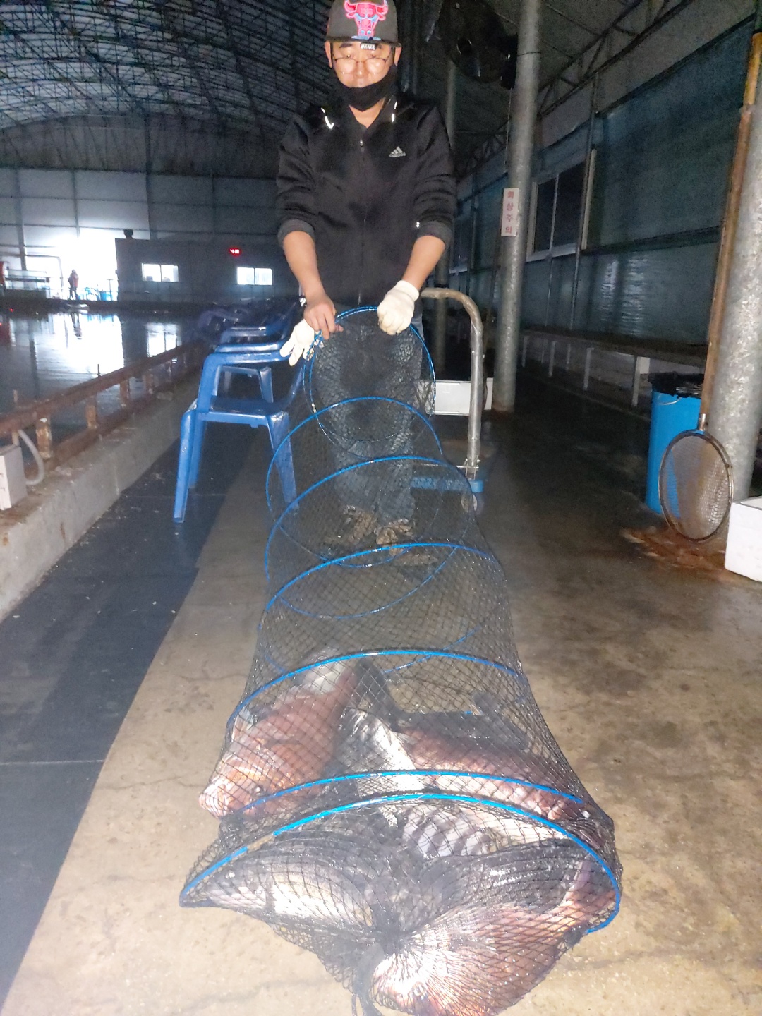 황초사계절 바다낚시조황 > [황산초지 사계절 바다낚시터] 4월23일 조황정보 : 낚시사랑