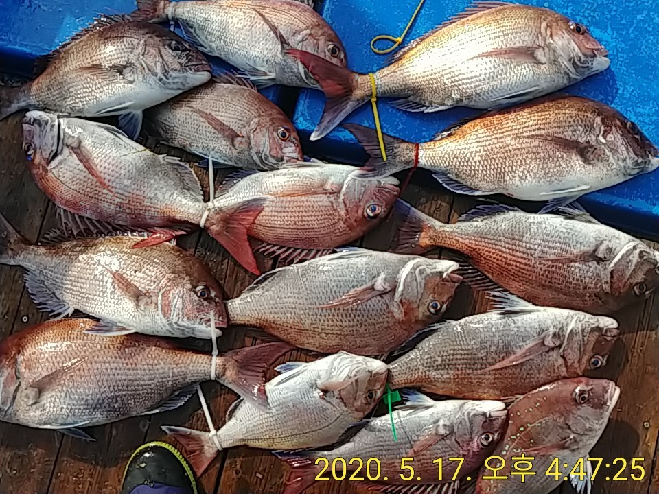 KakaoTalk_20200517_165629966.jpg