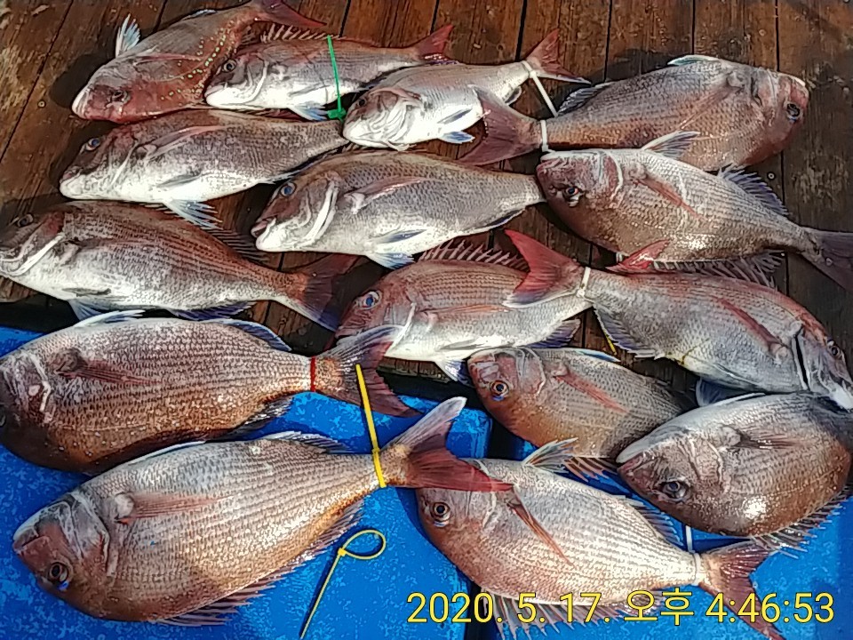 KakaoTalk_20200517_165631921.jpg