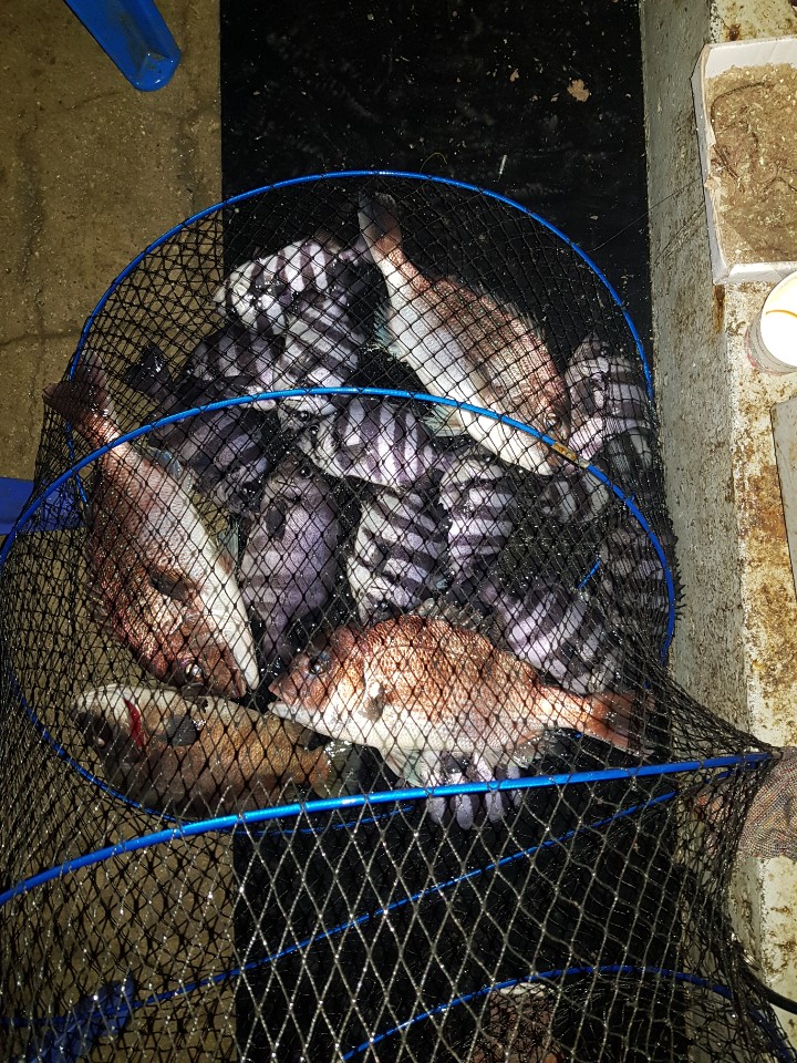 1590097519741-24.jpg
