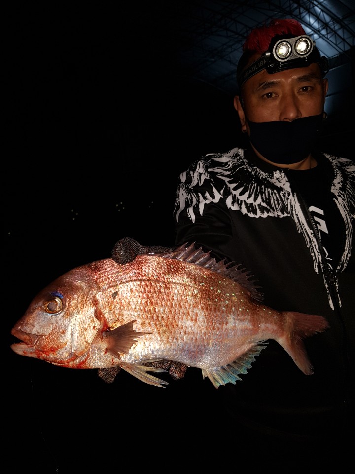 1590097519741-10.jpg