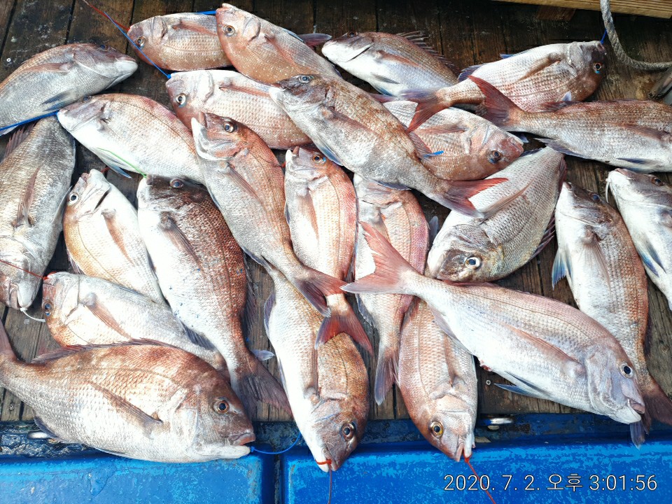 KakaoTalk_20200702_162246657.jpg