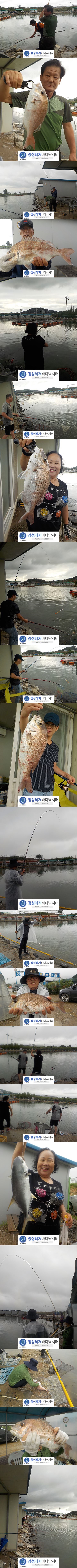 5555.jpg