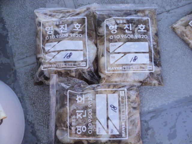 DSC09876.JPG