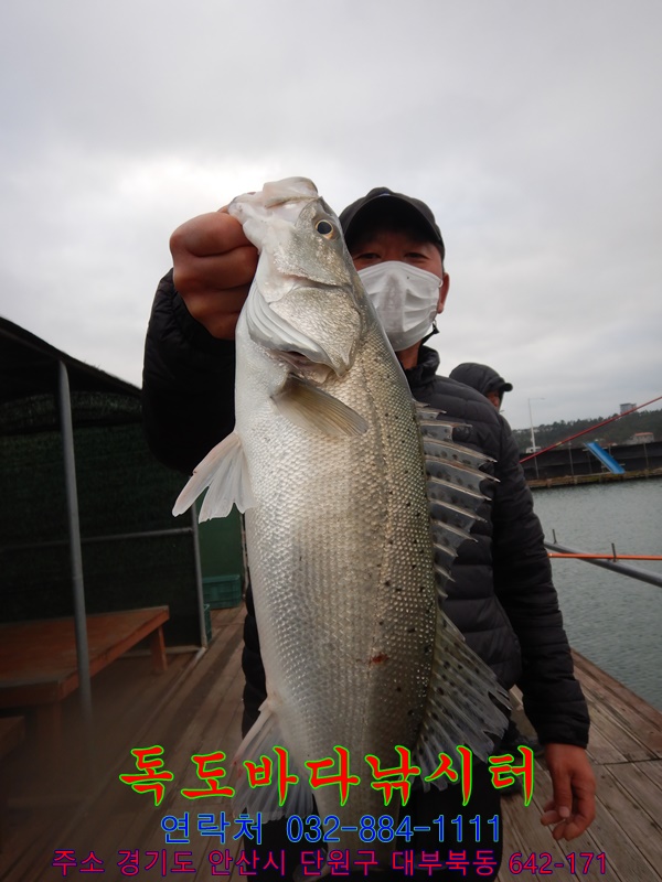 06.JPG