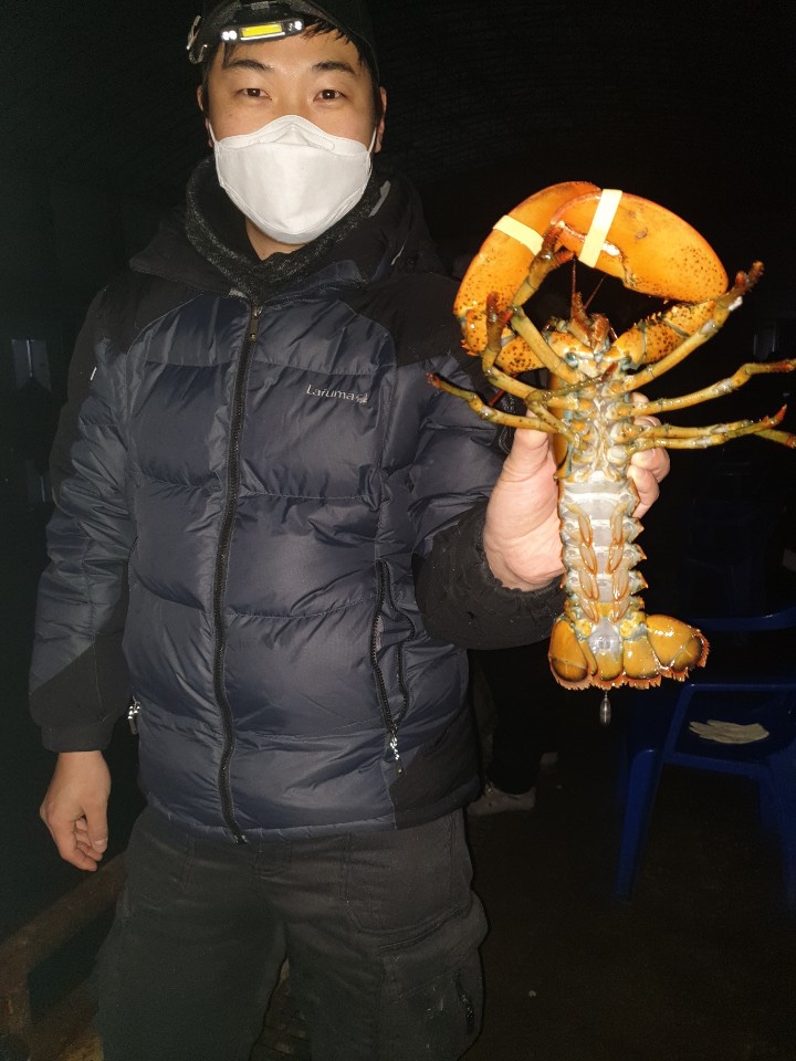 1610231760624-10.jpg