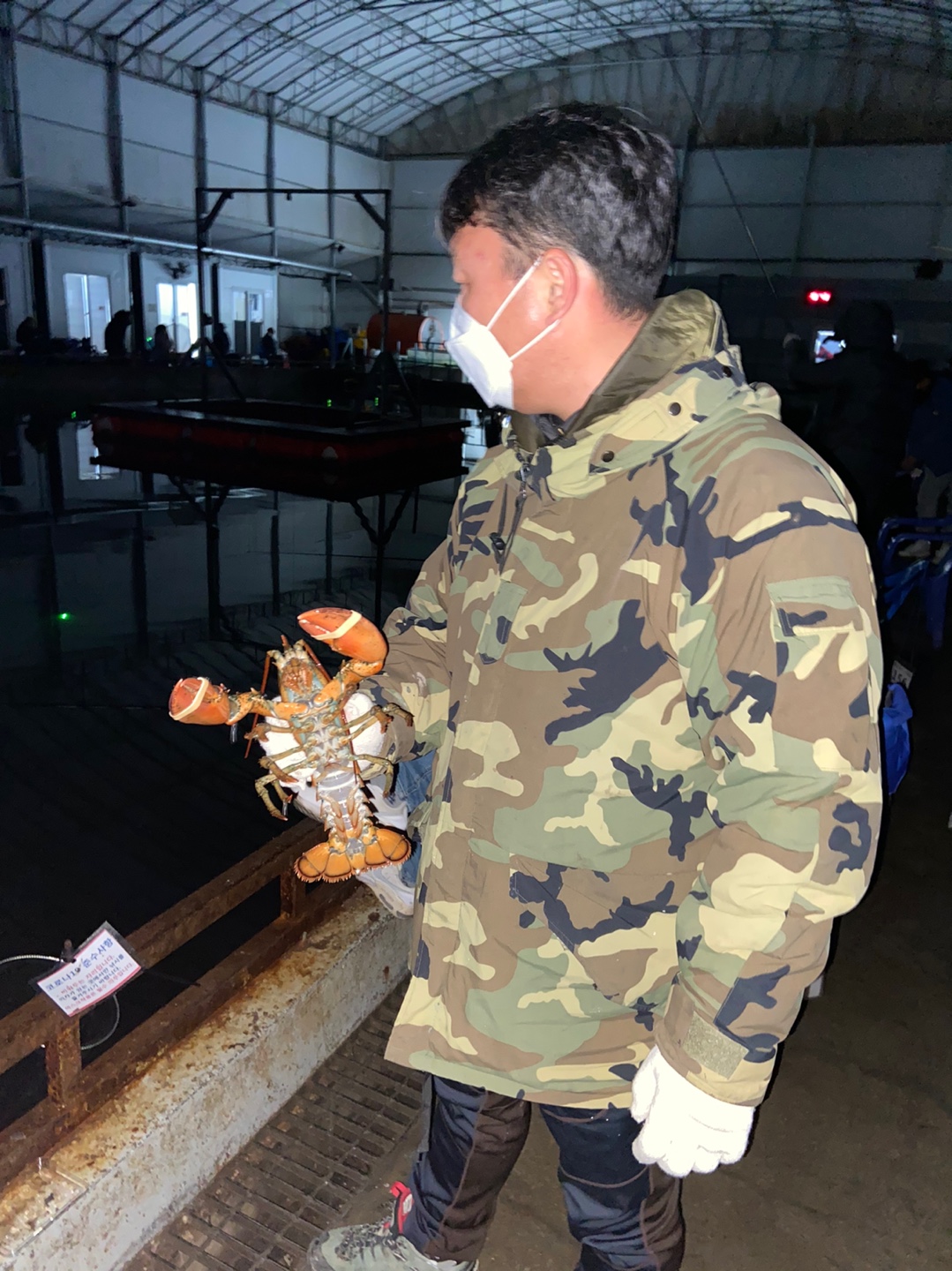 1610231760624-17.jpg