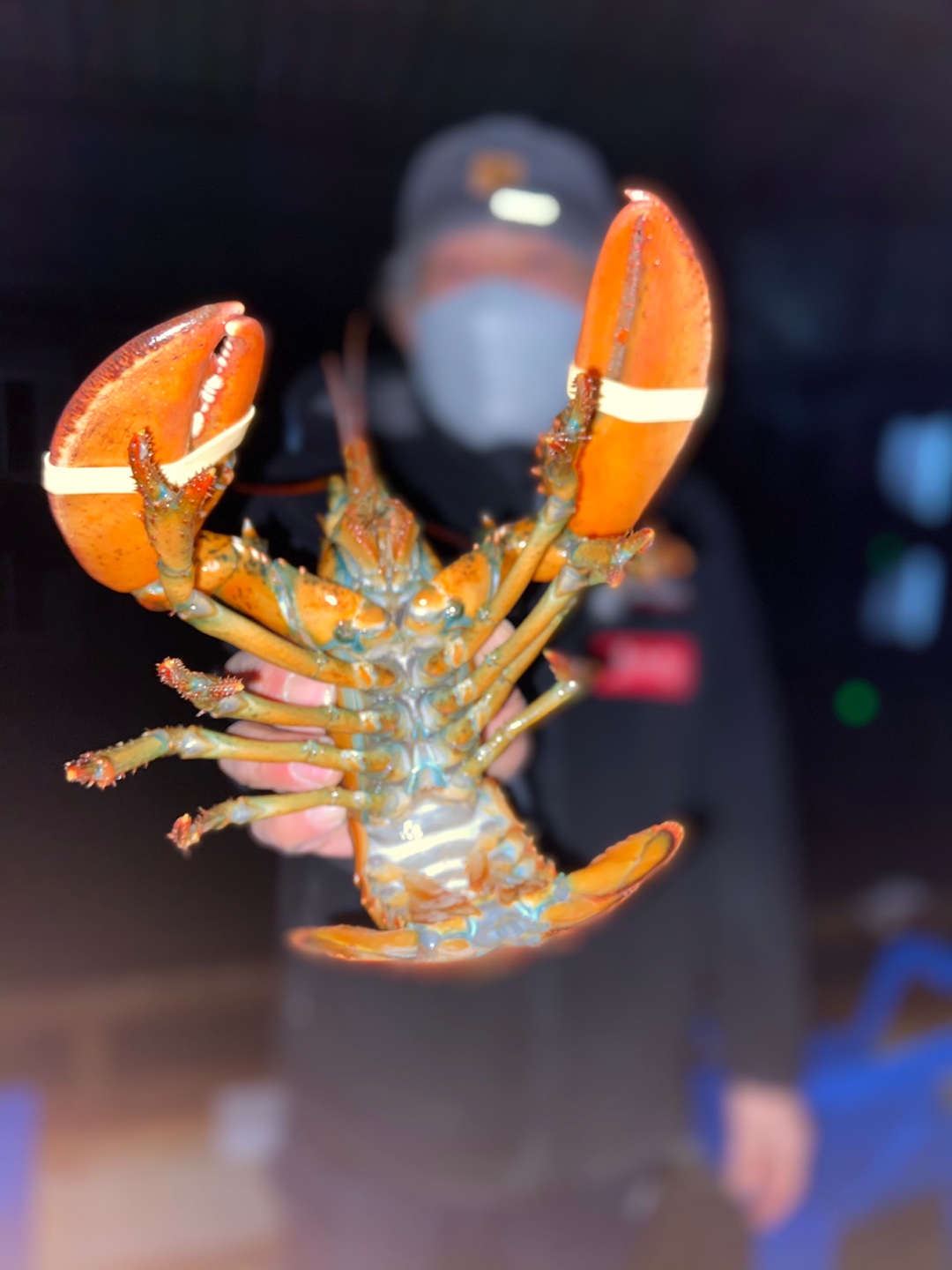 1610231772614-16.jpg