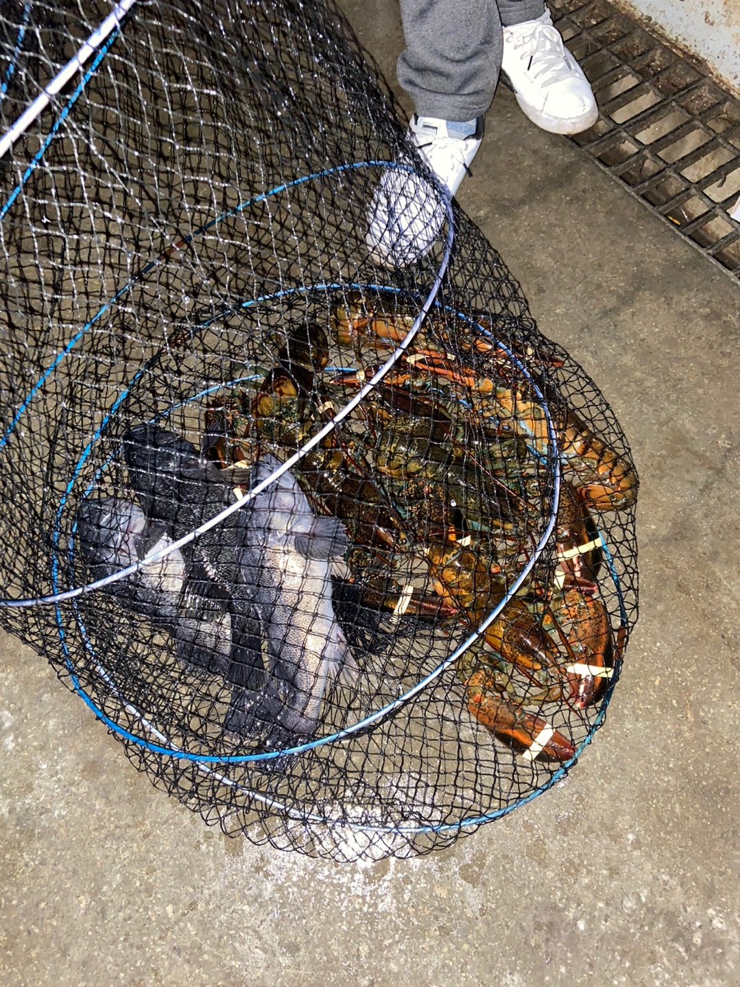 1610231772614-23.jpg