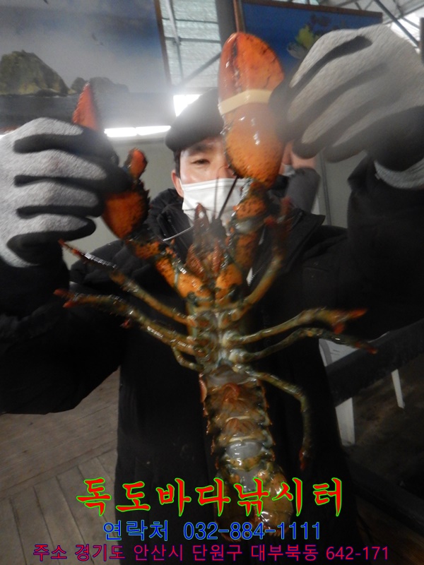 15.JPG
