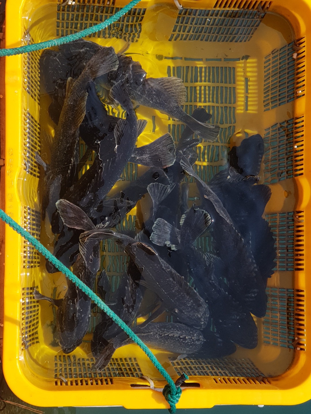 1617697292551-5.jpg