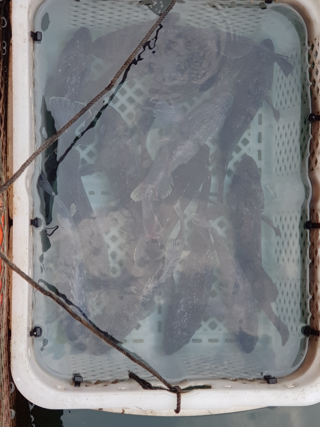 1624433205764-9.jpg