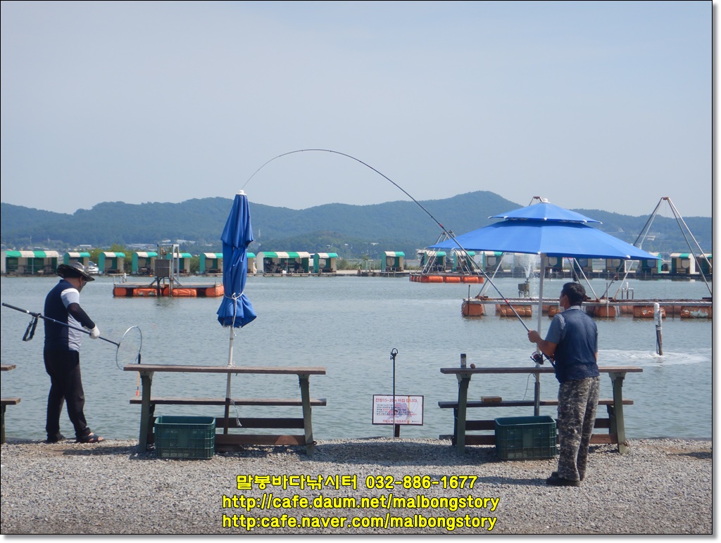 DSCN0391.JPG