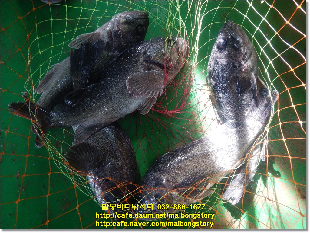 DSCN1908.JPG