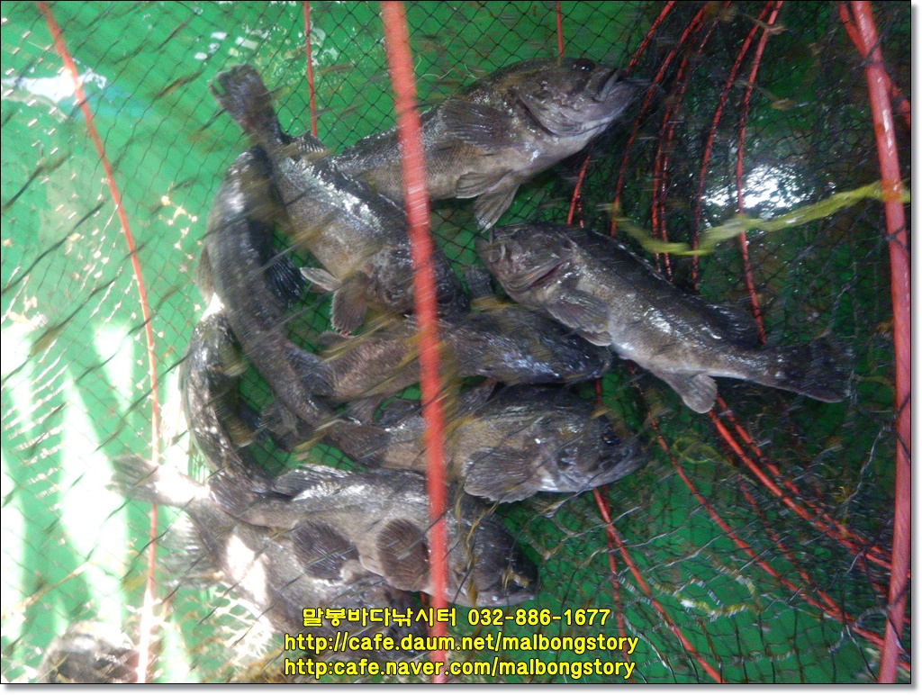DSCN1909.JPG