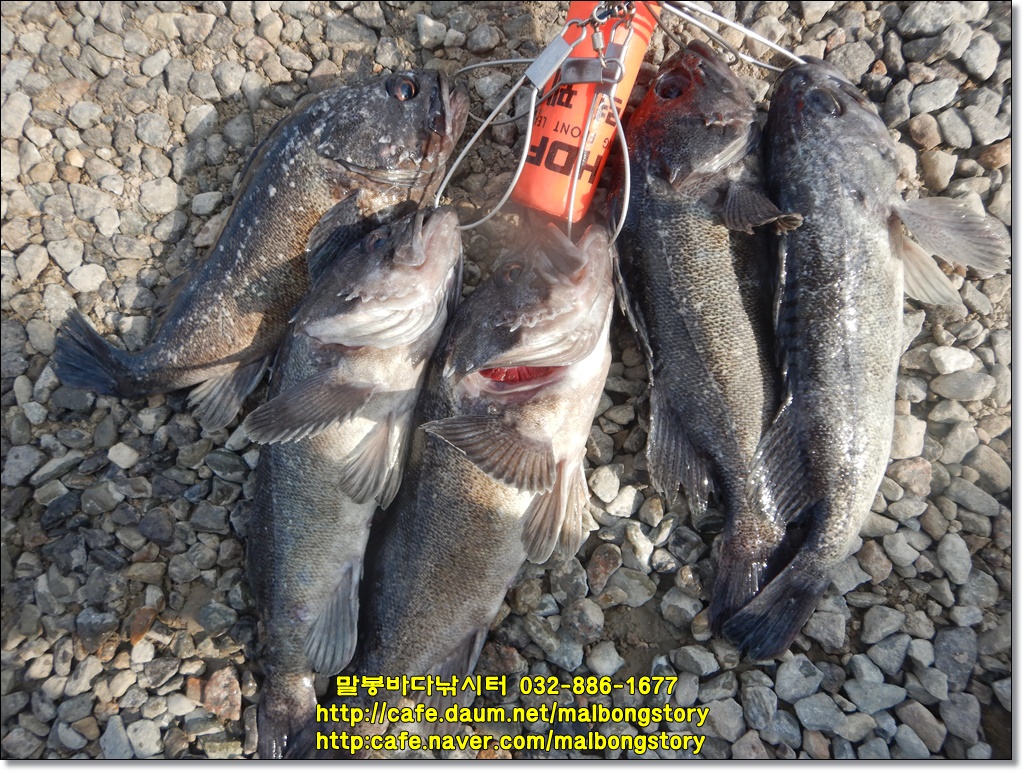DSCN2248.JPG