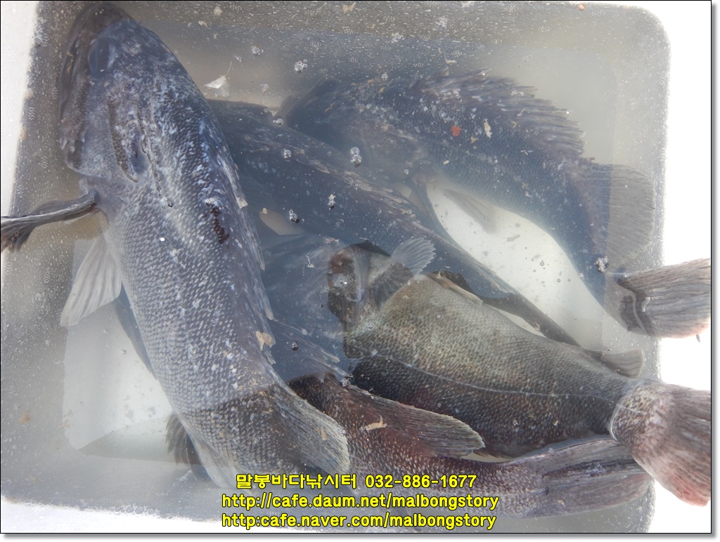 DSCN2262.JPG
