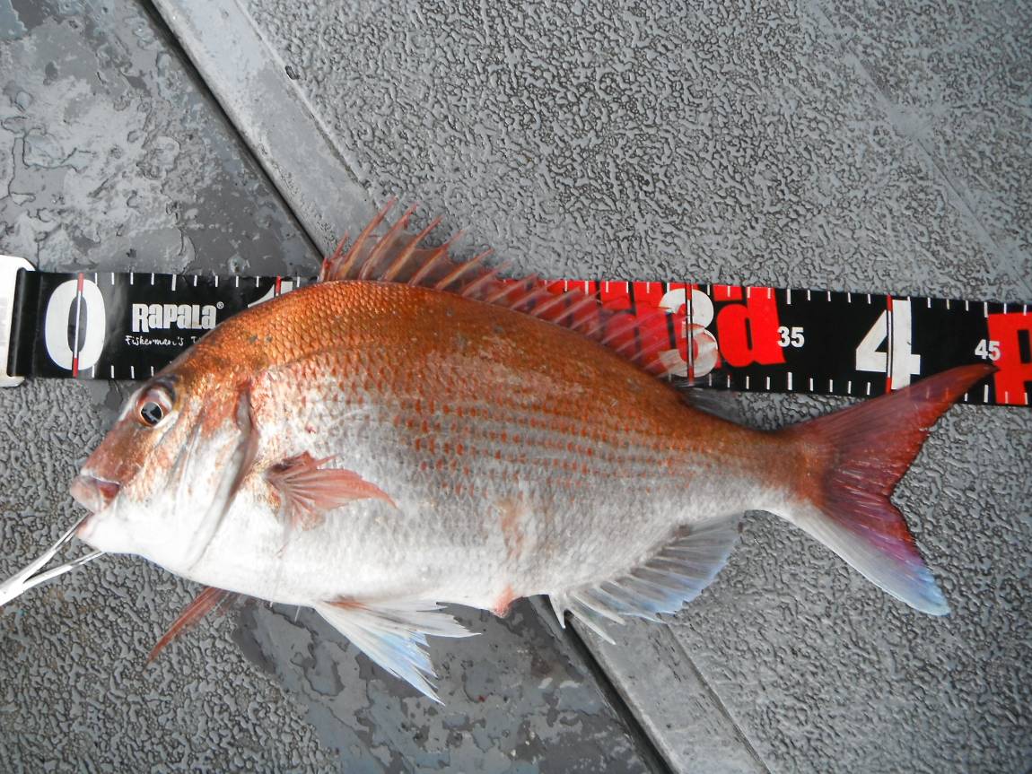 DSCF8777.JPG