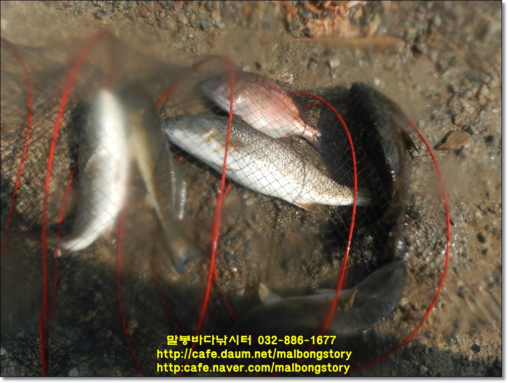 DSCN9115.JPG