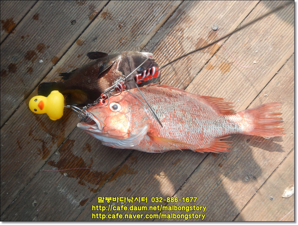 DSCN9120.JPG