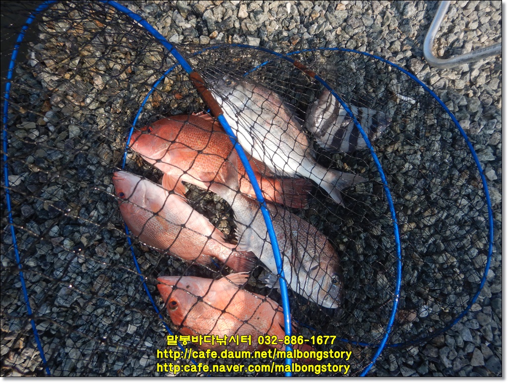 DSCN9123.JPG