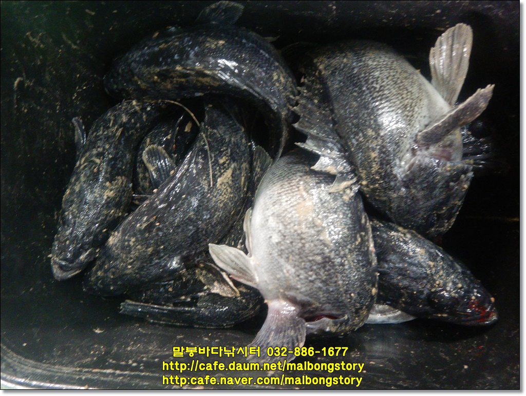 DSCN1096.JPG
