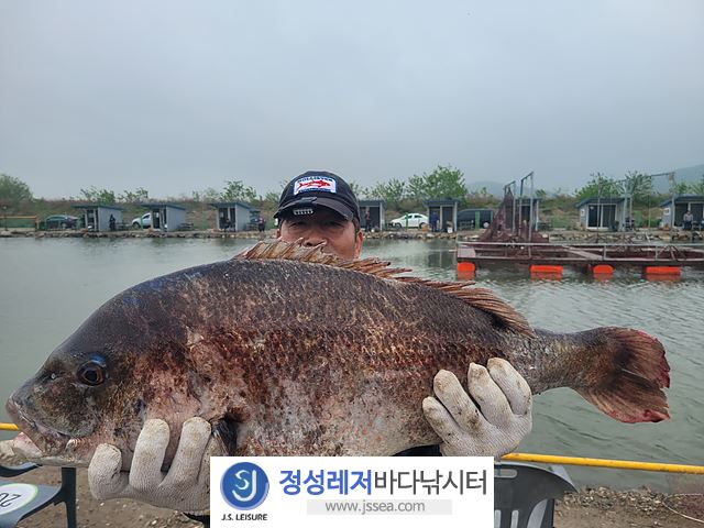 정성바다낚시터 바다낚시조황 > 5월 5일(금) 조황 : 낚시사랑
