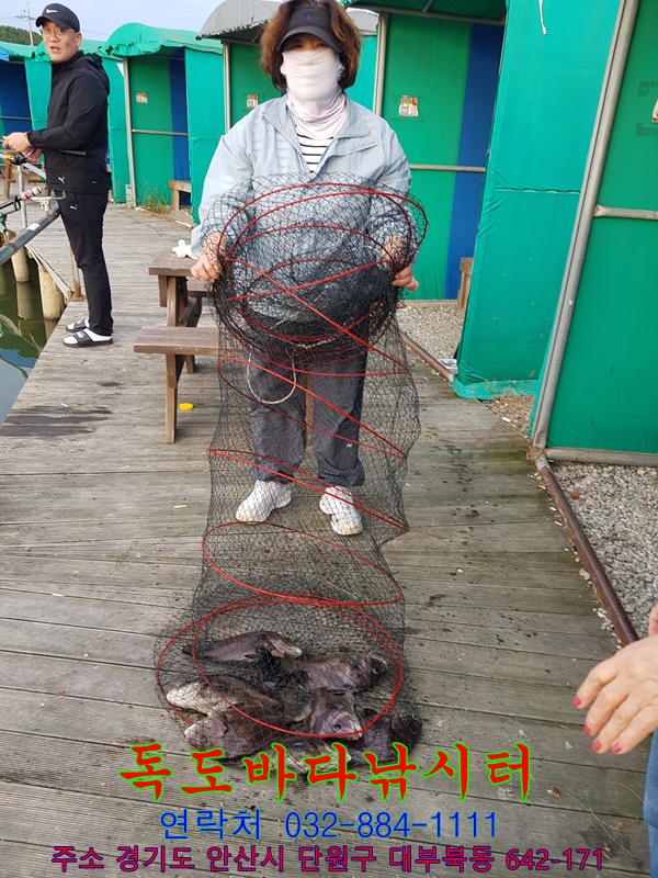 49.jpg