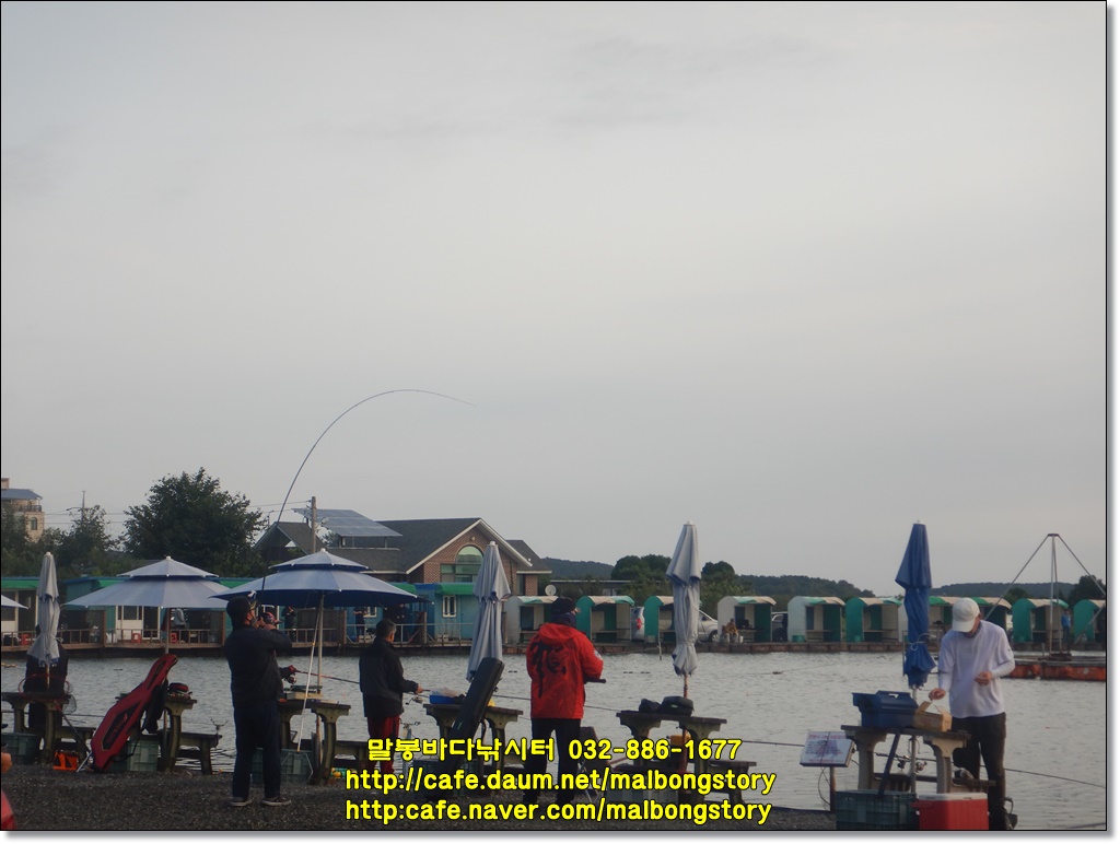 DSCN8590.JPG